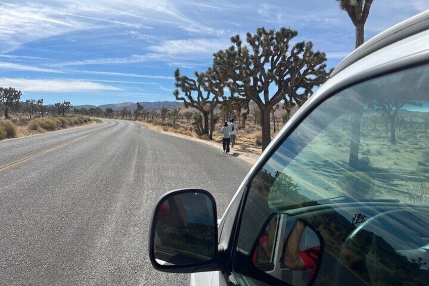 Joshua Tree National Park Private Tour (up to 10 people)