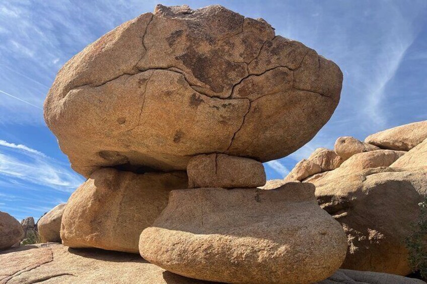 Joshua Tree National Park Private Tour (up to 10 people)