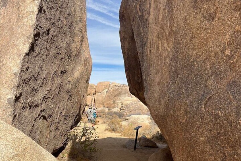 Joshua Tree National Park Private Tour (up to 10 people)