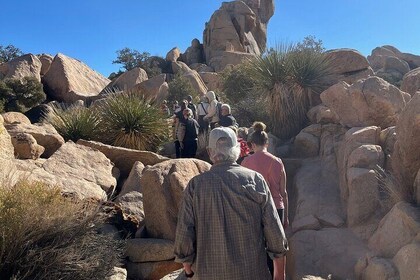 Adventure & Sightseeing Private Tour of Joshua Tree Park (Max 10)