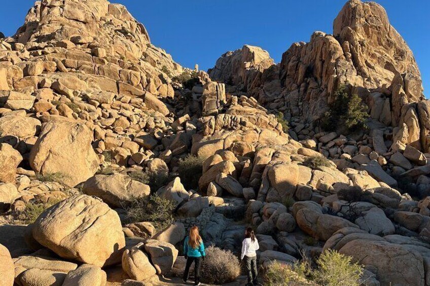 Private Sightseeing Adventure Tour of Joshua Tree Park (Max 10)