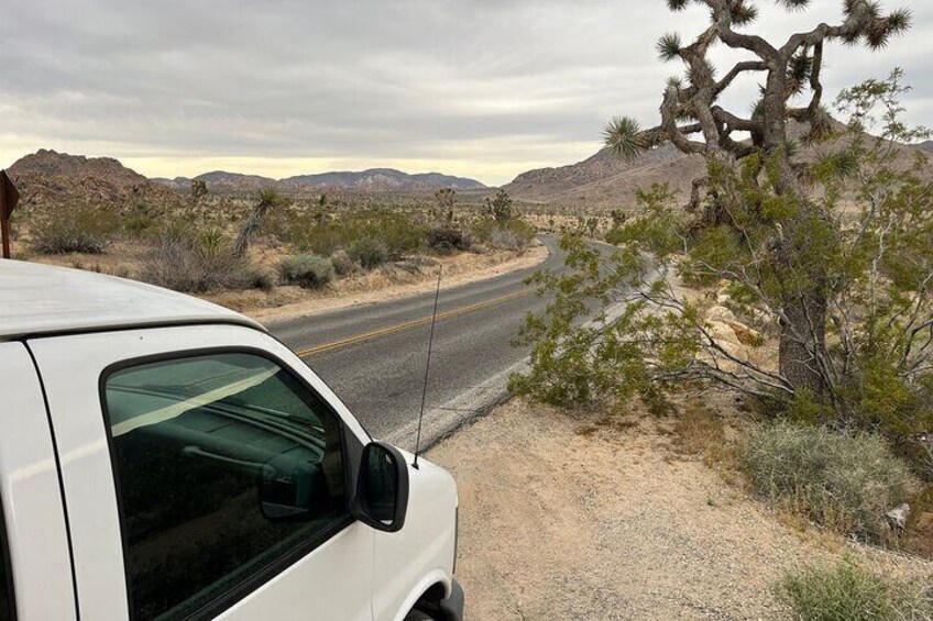 Joshua Tree National Park Private Tour (up to 10 people)