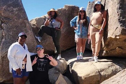 Joshua Tree National Park Private Tour (up to 10 people)