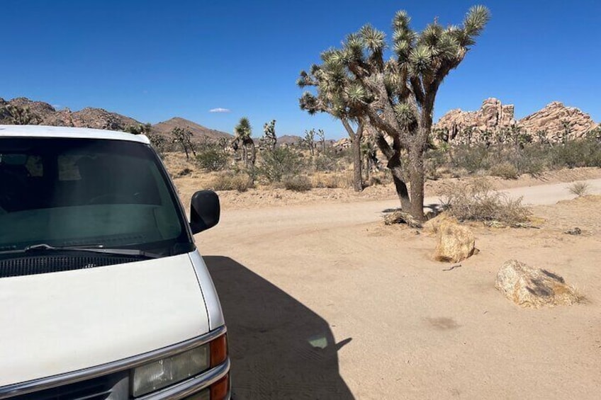 Joshua Tree National Park Private Tour (up to 10 people)