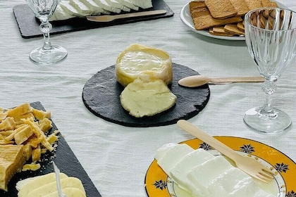 Artisanal Delights Cheese, Wine and Tile painting Experience