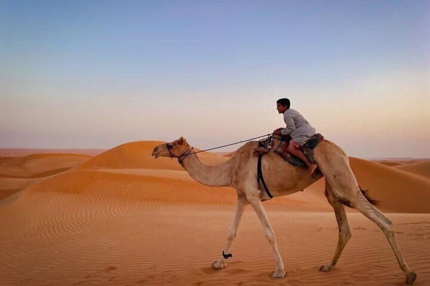 Full-Day Private Wahiba Sands Desert and Wadi Bani Khalid Tour