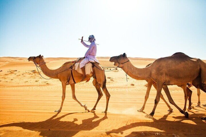 Full-Day Private Wahiba Sands Desert and Wadi Bani Khalid Tour
