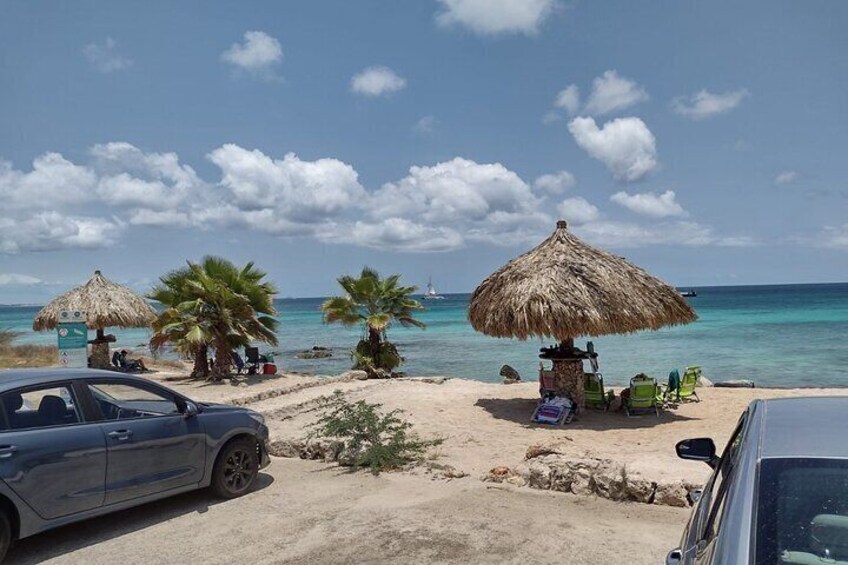 Best of Aruba Island and Beach Tour on a Bus in Aruba