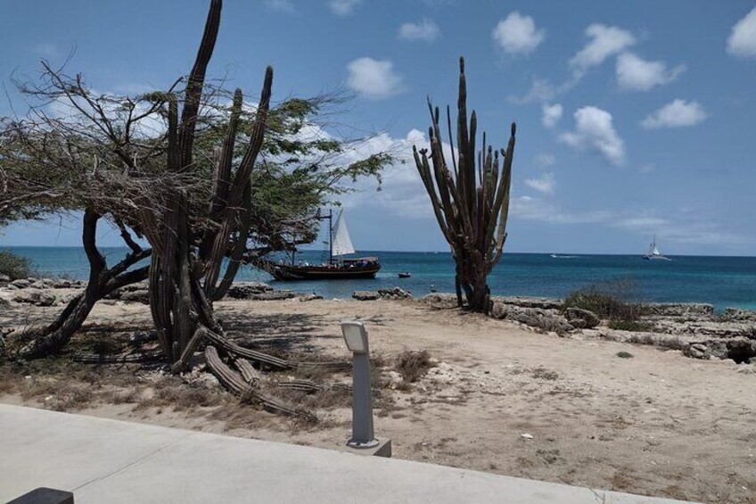 Best of Aruba Island and Beach Tour on a Bus in Aruba