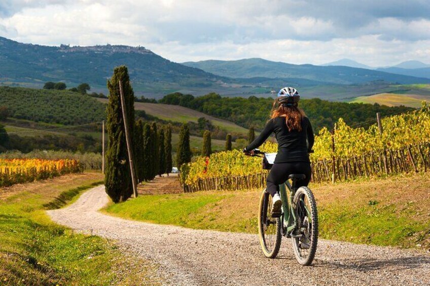 After the wine tasting at the Ricasoli Winery, we climb the gravel roads, throughout vineyards, until reaching the Brolio Castle.