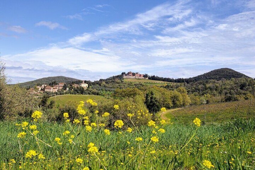 One of the castles we visit during the tour, with a local and knowledgeable guide.