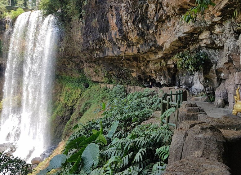 Picture 9 for Activity 2-day Da Lat - Dambri falls - Bao Loc - Mui Ne