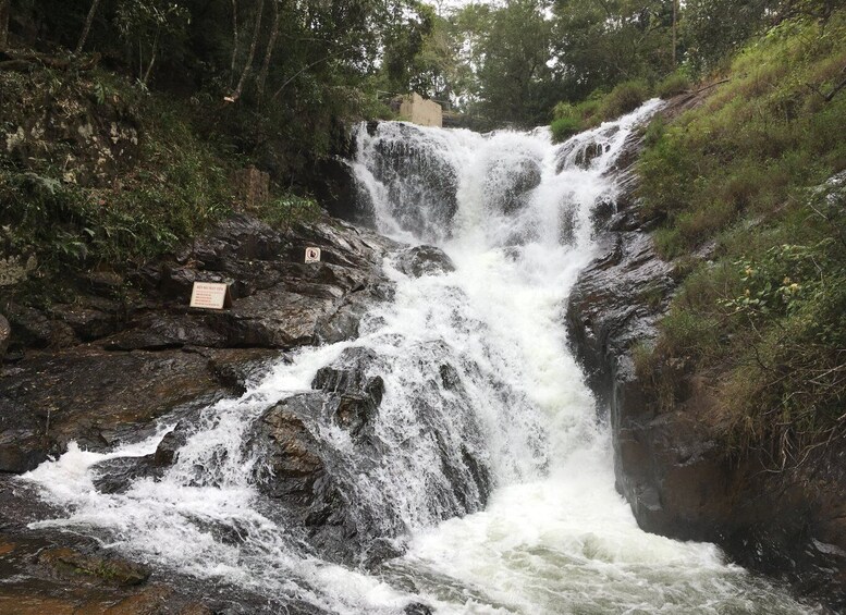 Picture 5 for Activity 2-day Da Lat - Dambri falls - Bao Loc - Mui Ne