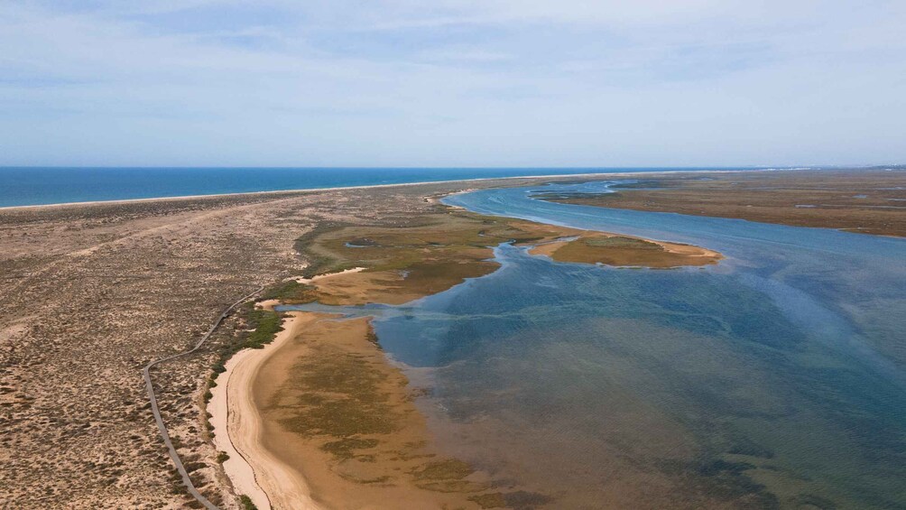 Picture 9 for Activity From Faro: Ria Formosa Eco Tour guided by Marine Biologist