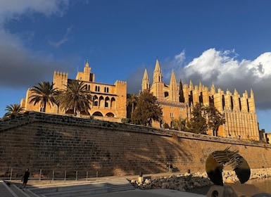 Tour por el casco antiguo de Palma