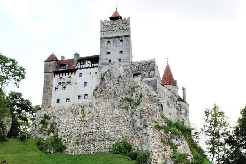 Bear Sanctuary, Dracula's Castle and Brasov, 1-Day Private Tour, from Bucharest