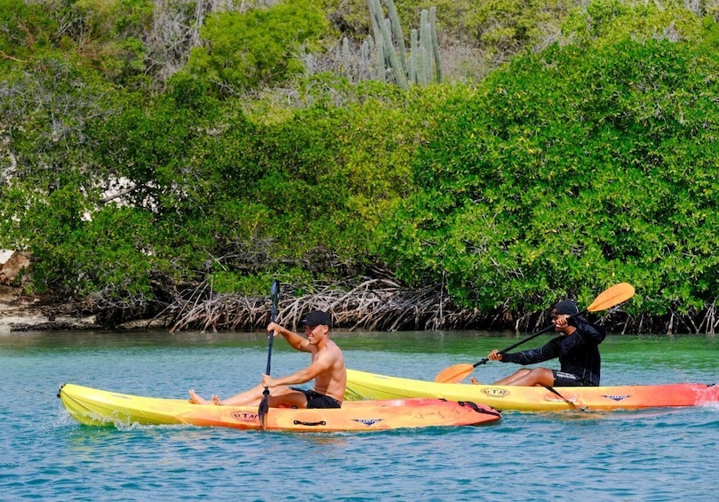 2-Hour Kayak Tour in Curacao