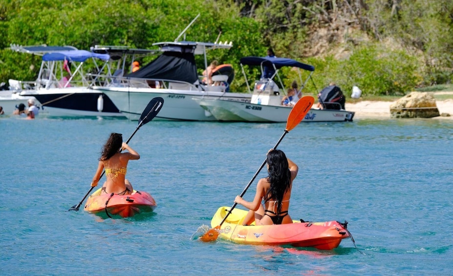 Picture 1 for Activity 2-Hour Kayak Tour in Curacao