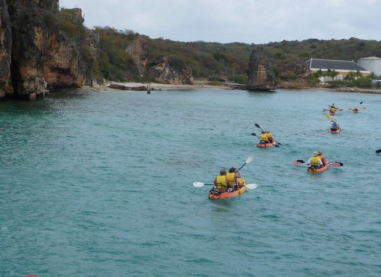 Picture 4 for Activity 2-Hour Kayak Tour in Curacao