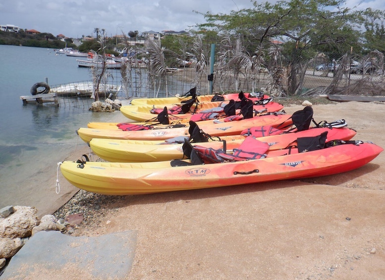 Picture 5 for Activity 2-Hour Kayak Tour in Curacao
