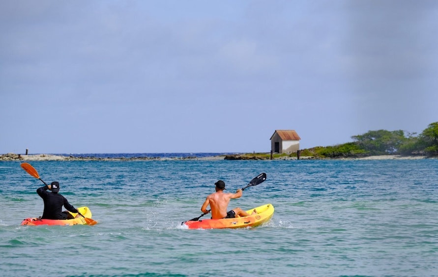 Picture 2 for Activity 2-Hour Kayak Tour in Curacao