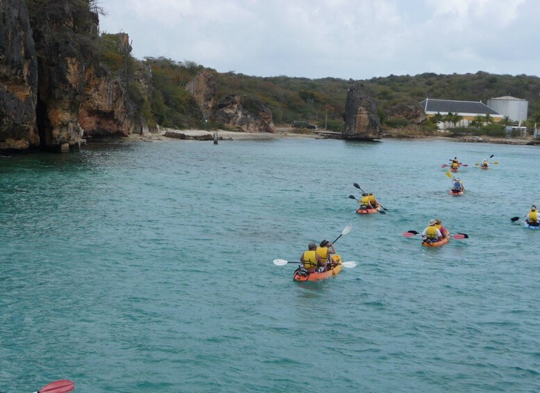 Picture 7 for Activity 2-Hour Kayak Tour in Curacao