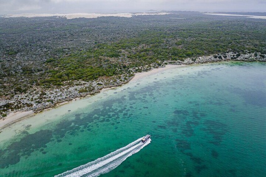 Premium Oyster Season Winter Tour Inc Wading & 1 Dozen Oysters
