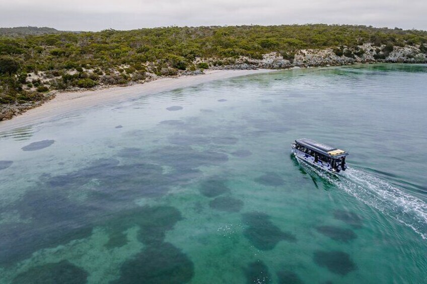Premium Oyster Season Winter Tour Inc Wading & 1 Dozen Oysters
