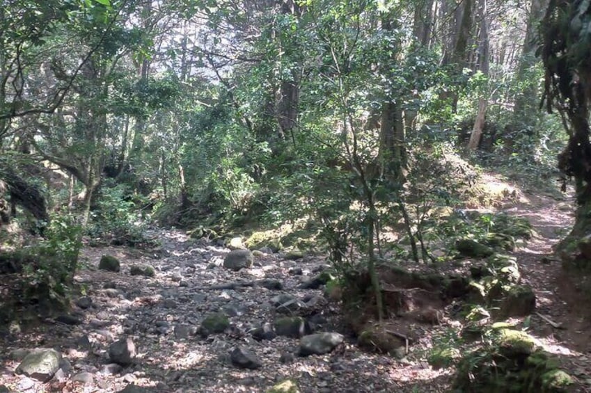 Travel Through the Mountains of Heredia and Alajuela.