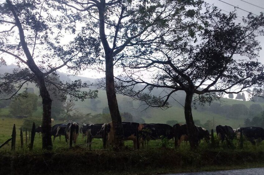 Travel Through the Mountains of Heredia and Alajuela.