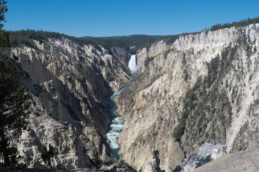 Lower Falls Of Yellowstone