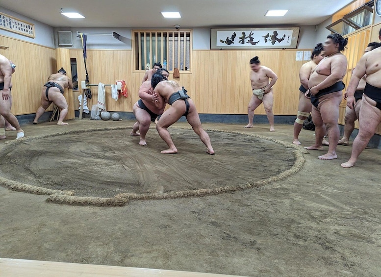 Picture 1 for Activity Tokyo: Morning Sumo Practice Viewing