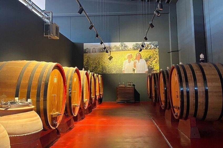 Visit to the cellar and tasting 30 minutes from Pescara