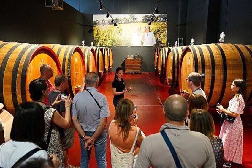 Visit to the cellar and tasting 30 minutes from Pescara