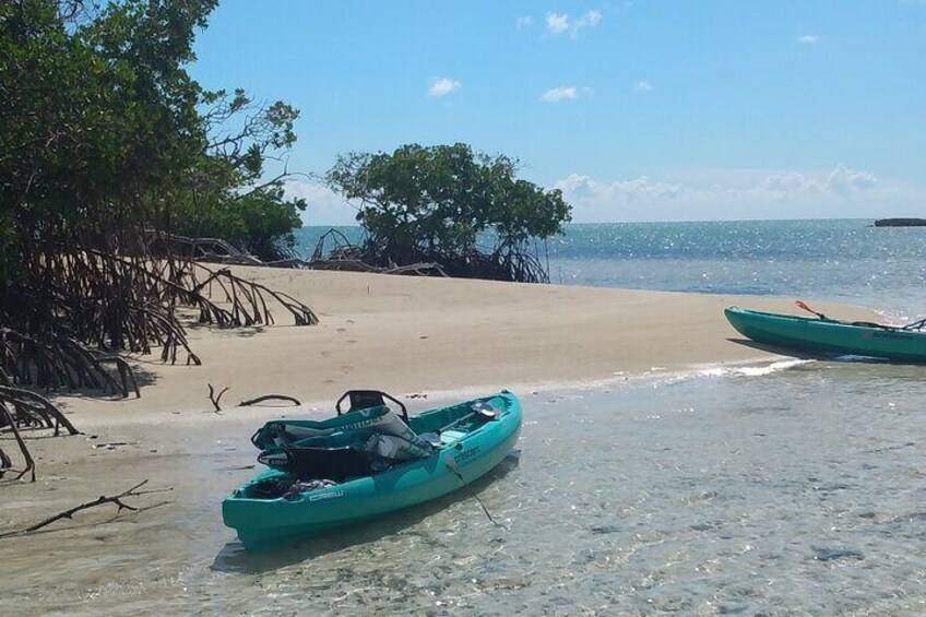 Private Island Getaway Kayak, Snorkel, Tropical Drinks, Beach