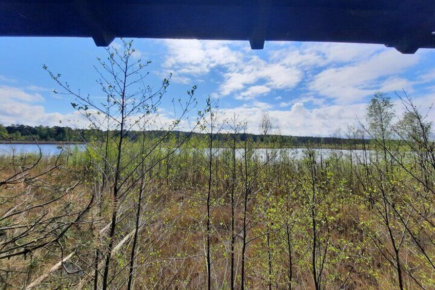 View from bird hide no.1