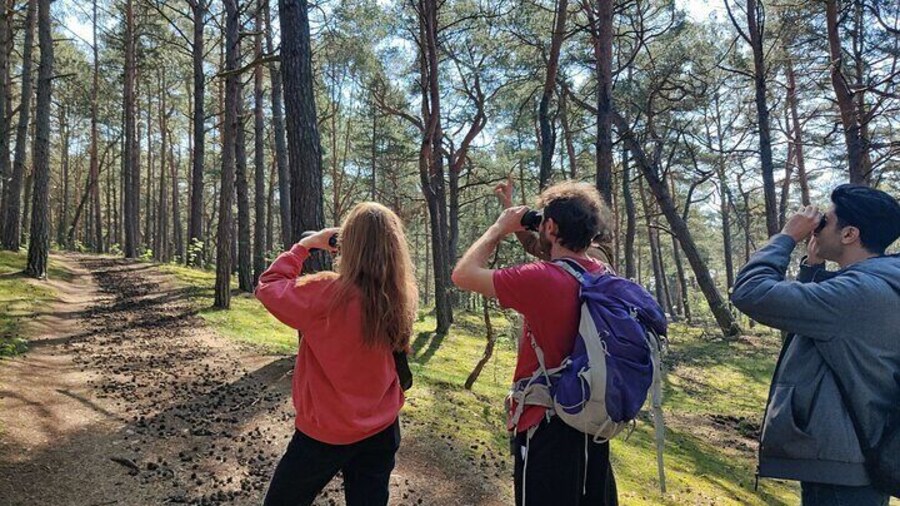 Nature Walk and Wildlife Tour in Sobieszewo Island