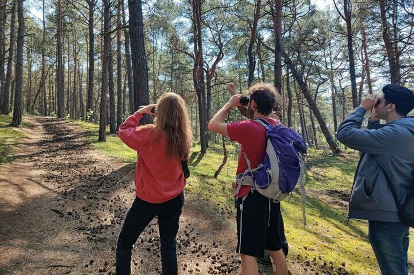 Nature Walk and Wildlife Tour in Sobieszewo Island