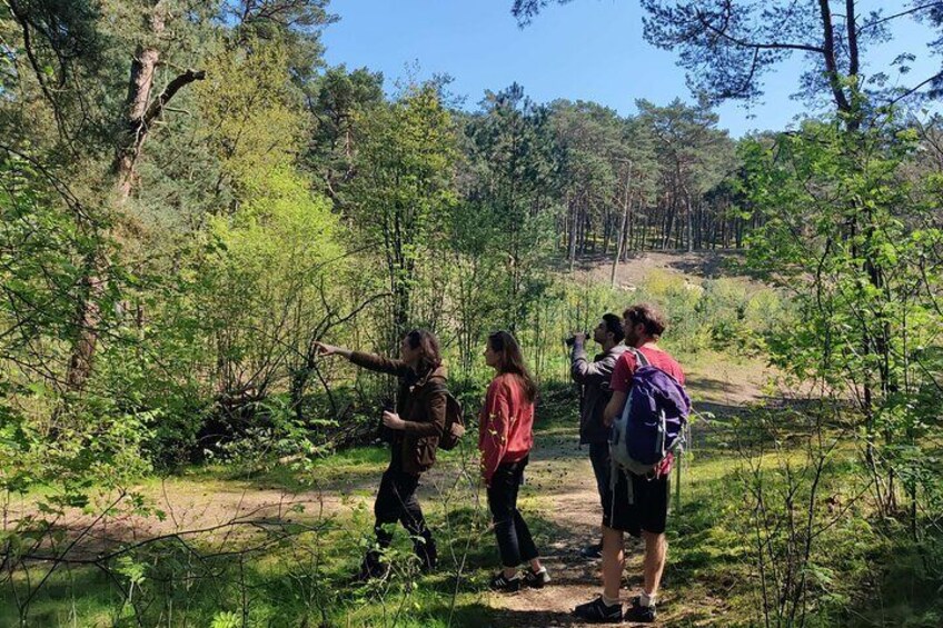 Nature Walk and Wildlife Tour in Sobieszewo Island