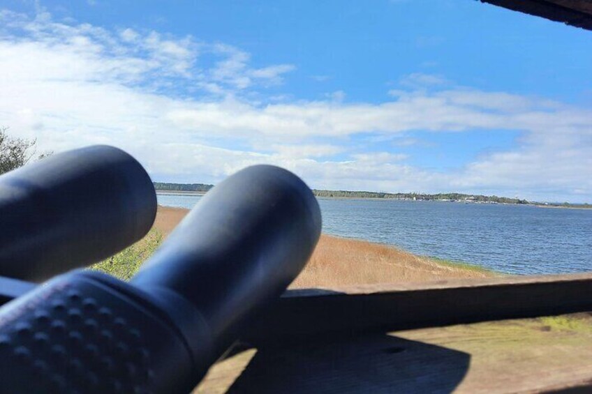 View from bird hide no.2