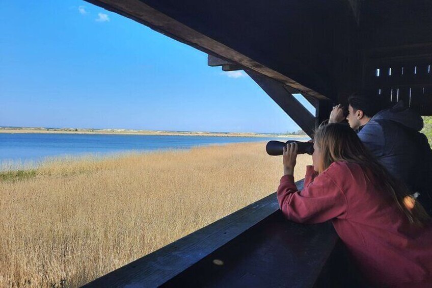 Nature Walk and Wildlife Tour in Sobieszewo Island