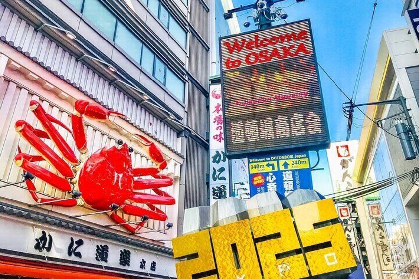 This is The Best Private Walking Tour, All Must-sees in Osaka!