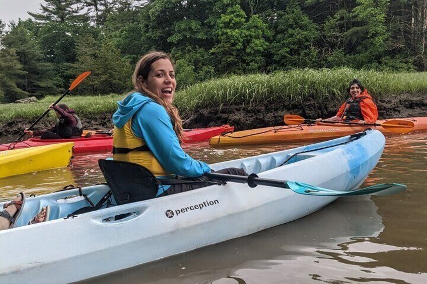 Exploring a salt marsh