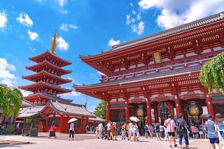 Full Day Sightseeing Private Tour in Tokyo with Guide