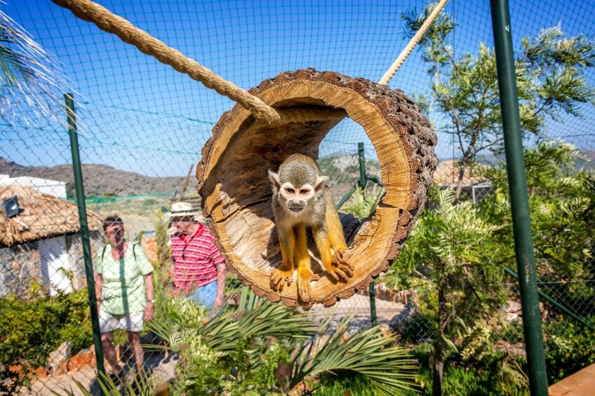 Amazonas Park & Glass-Bottom Boat Tour