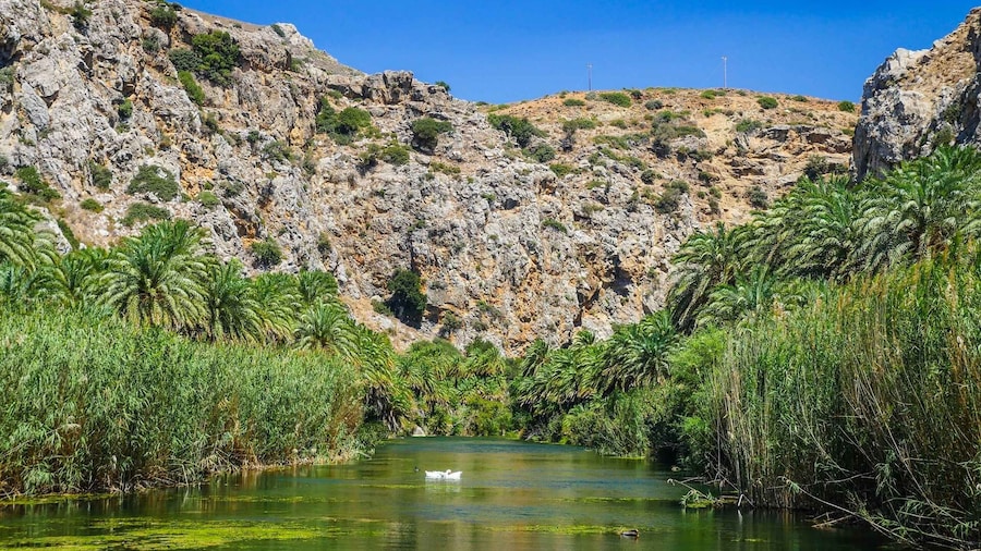 From Rethymno: Preveli Palm Forest, Damnoni and Plakias Tour