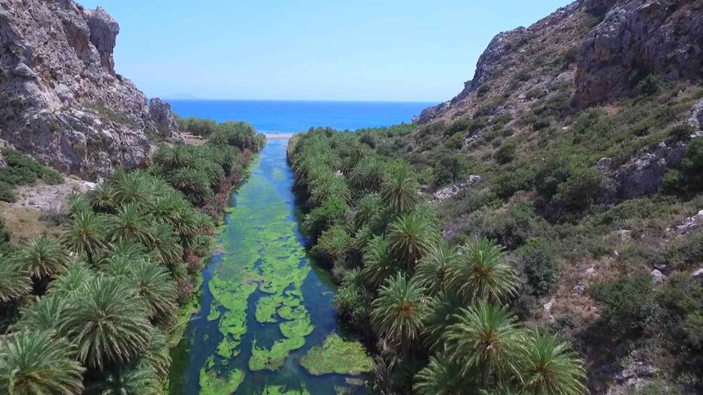 Picture 1 for Activity From Rethymno: Preveli Palm Forest, Damnoni and Plakias Tour