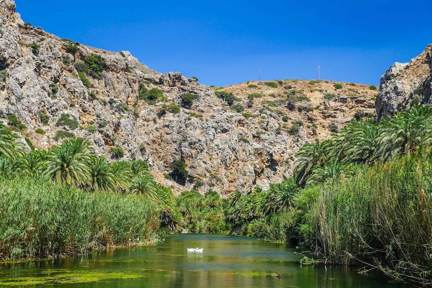 From Rethymno: Preveli Palm Forest, Damnoni and Plakias Tour
