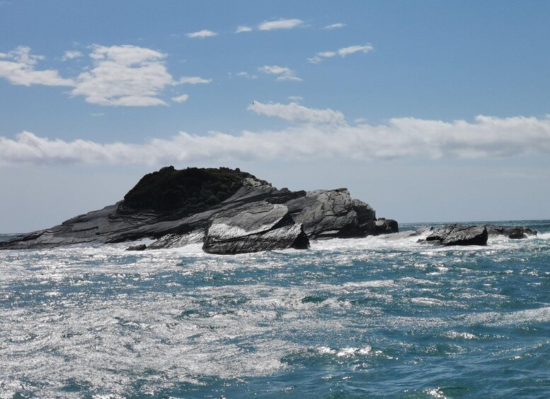 Picture 3 for Activity 5 TERRE PRIVATE BOAT TOUR WITH SKIPPER