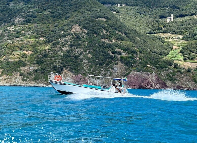 Picture 8 for Activity 5 TERRE PRIVATE BOAT TOUR WITH SKIPPER